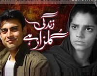 Zindagi Gulzar Hai