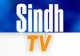 Sindh TV