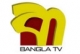 Bangla TV