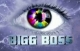 Bigg Boss 9